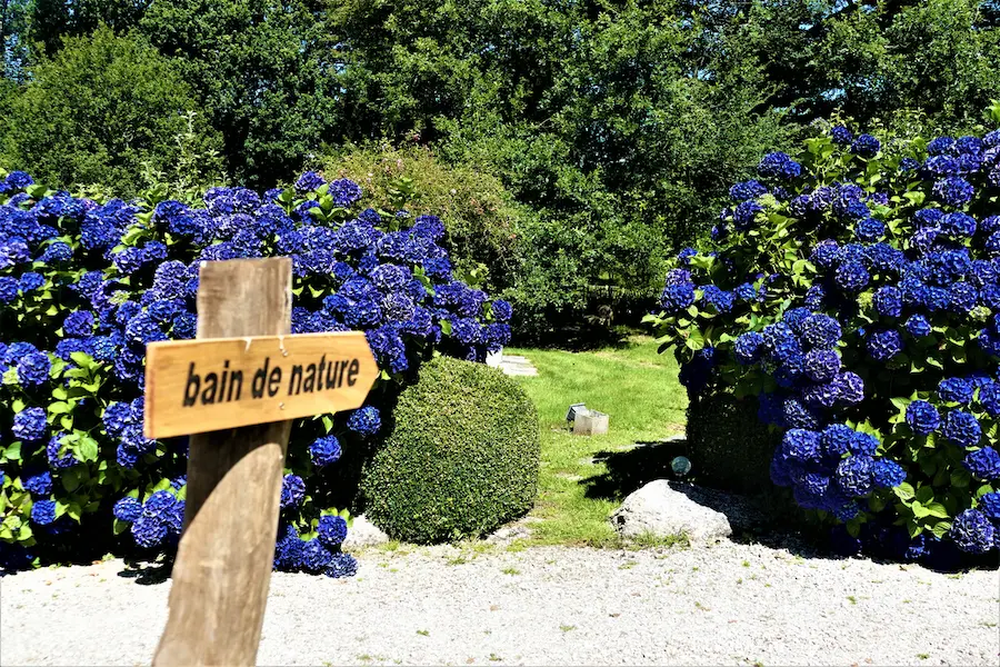 Chambre Prairie - photo 13