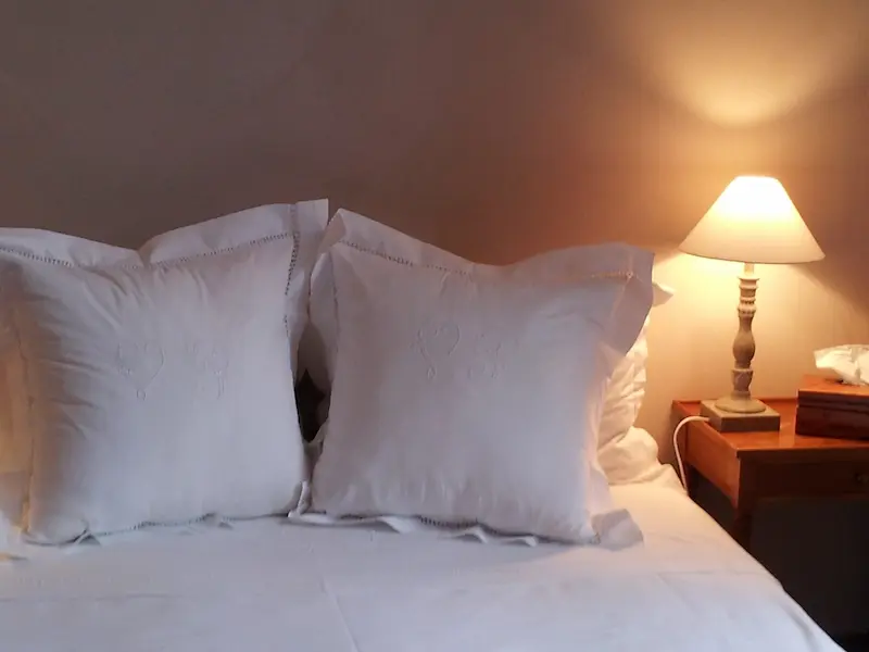 Chambre Douce France à La Maison Bastide à Bordeaux