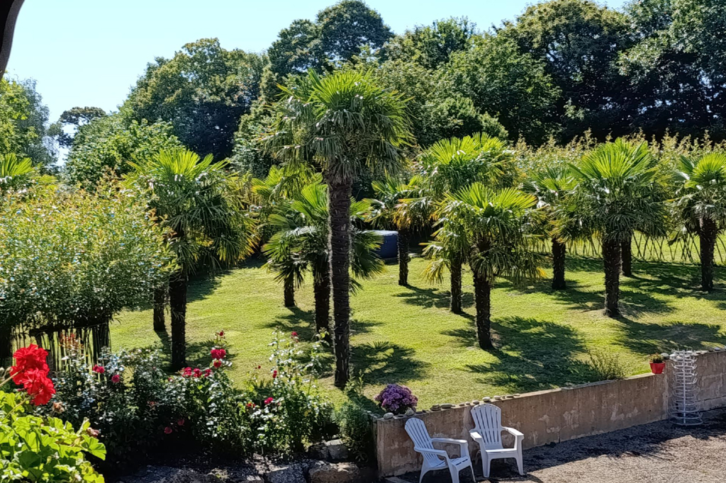 La Palmeraie photo 2