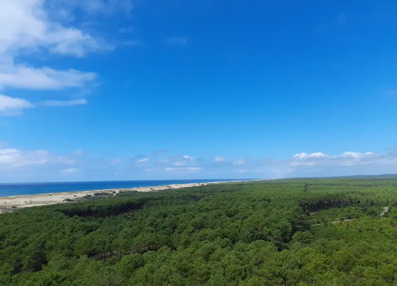 Photo 10 Le Mas des Landes